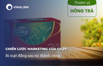 Chiến lược marketing của Cozy: Bí mật đằng sau sự thành công